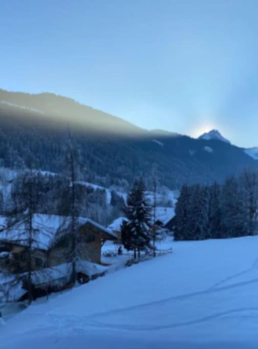 Appartement Cosy Proche Chatel Portes Du Soleil - Linge Inclus Abondance Εξωτερικό φωτογραφία
