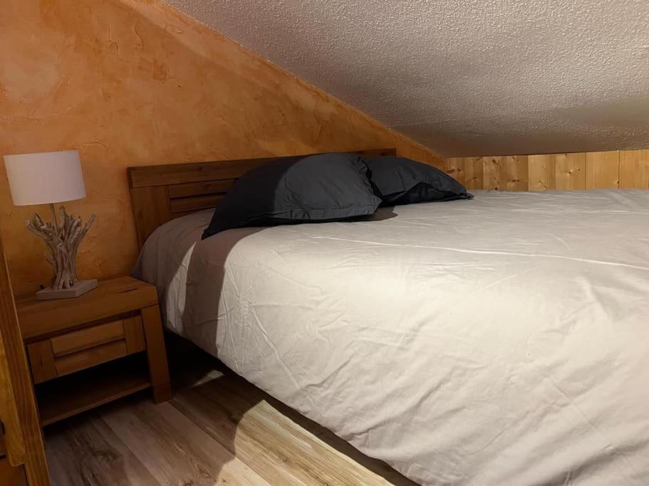 Appartement Cosy Proche Chatel Portes Du Soleil - Linge Inclus Abondance Εξωτερικό φωτογραφία